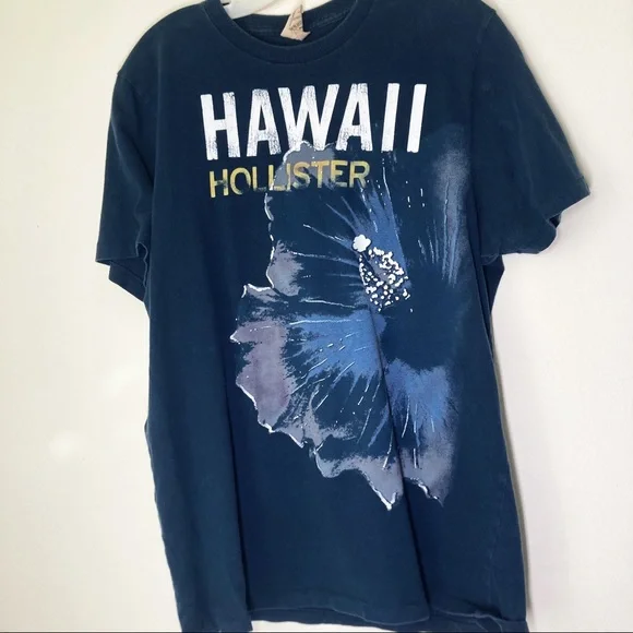 Hollister Shirts Hawaii Hollister Short Sleeve Tee Shirt Size